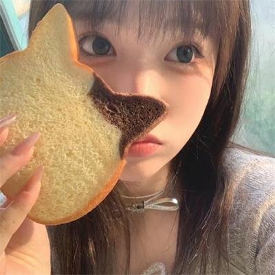 麒麟之翼